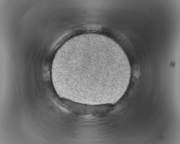 X0000113961252200911061318