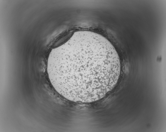 X0000113961253200911061318