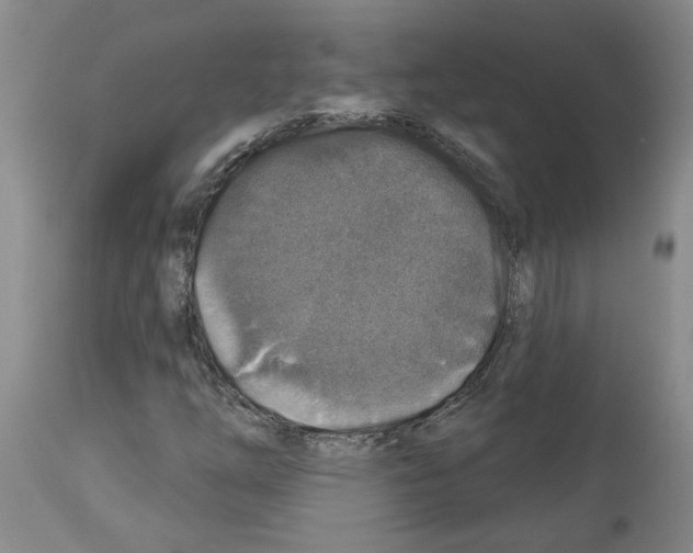 X0000113961254200911061318