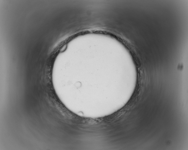 X0000113961255200911061318