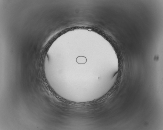 X0000113961256200911061318
