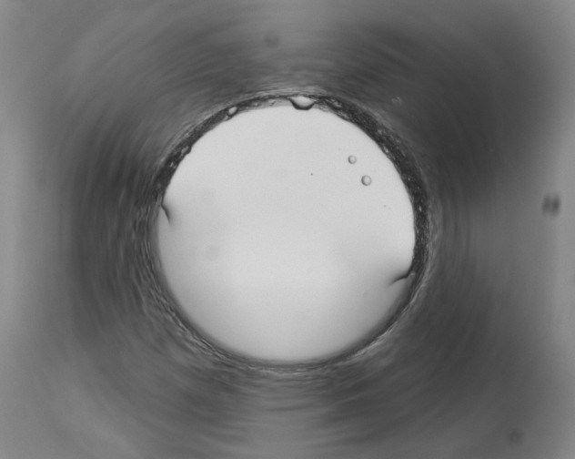 X0000113961257200911061318