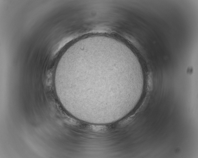 X0000113961258200911061318
