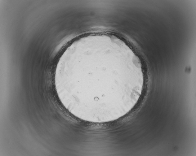 X0000113961259200911061318