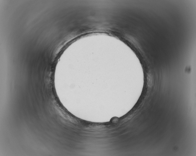 X0000113961260200911061318