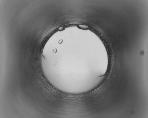 X0000113961261200911061318