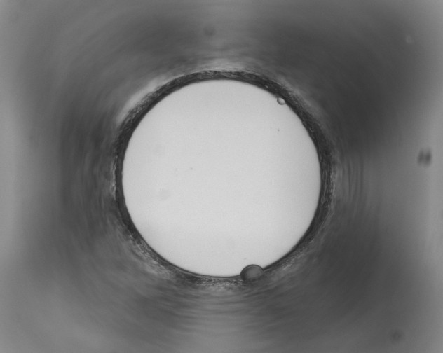 X0000113961262200911061318