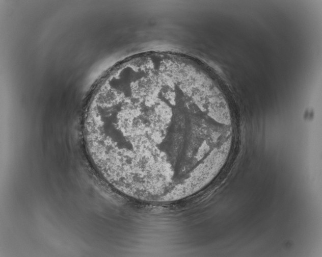 X0000113961263200911061318