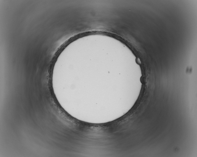X0000113961264200911061318
