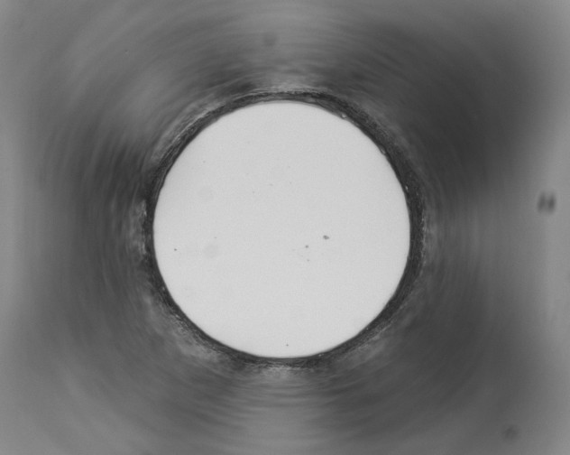 X0000113961265200911061318