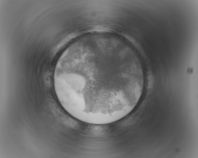 X0000113961266200911061318