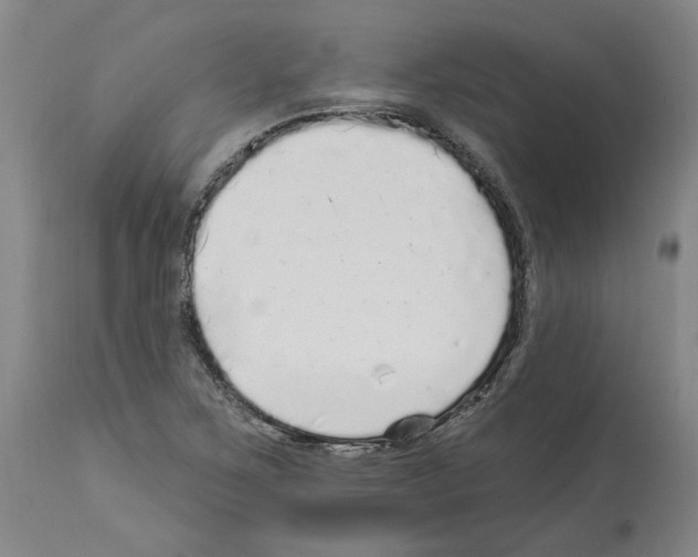X0000113961267200911061318