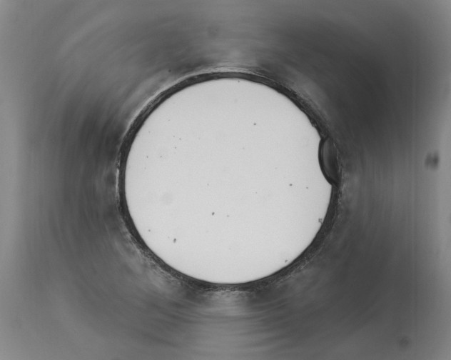 X0000113961268200911061318