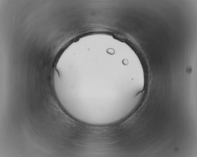 X0000113961269200911061318