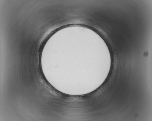 X0000113961270200911061317