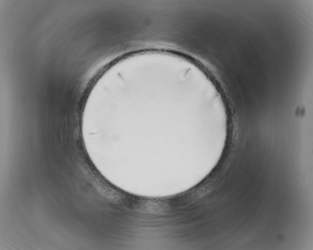 X0000113961271200911061317