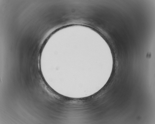 X0000113961272200911061317