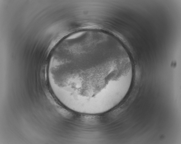 X0000113961274200911061317