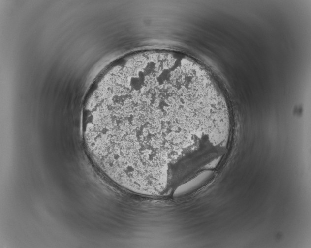 X0000113961275200911061317