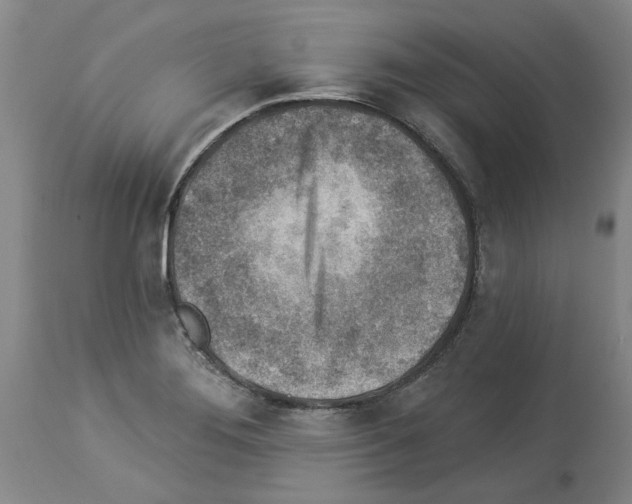 X0000113961276200911061317