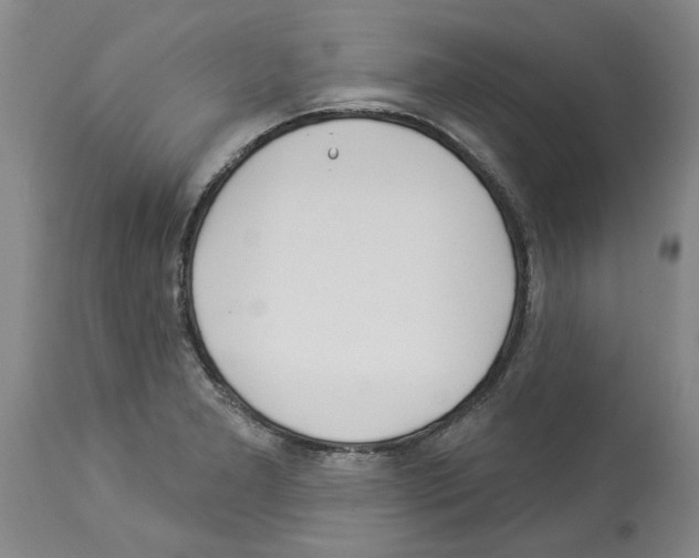 X0000113961277200911061317