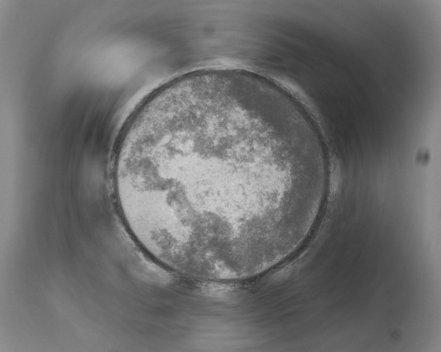 X0000113961278200911061317