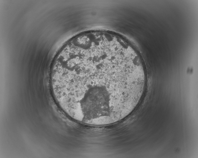 X0000113961279200911061317