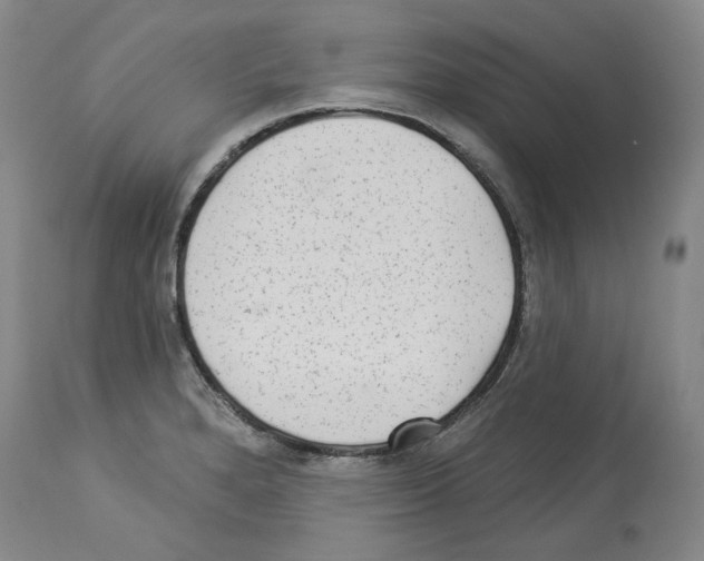 X0000113961280200911061317