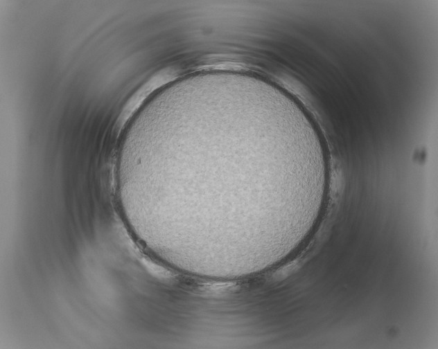 X0000113961282200911061317