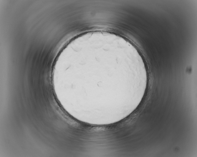 X0000113961283200911061317