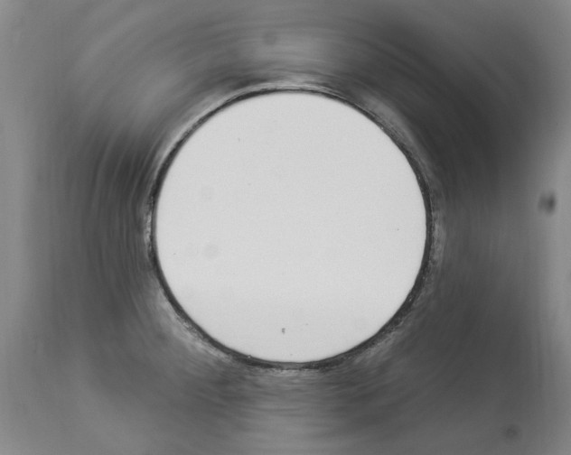 X0000113961284200911061317