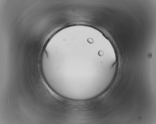 X0000113961285200911061317