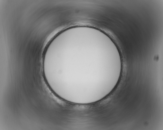 X0000113961286200911061317