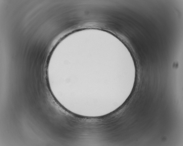 X0000113961288200911061317
