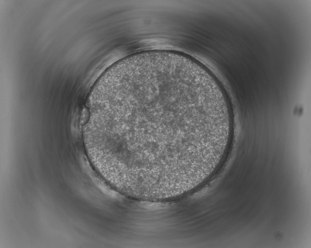 X0000113961289200911061317