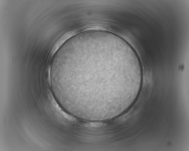X0000113961290200911061317