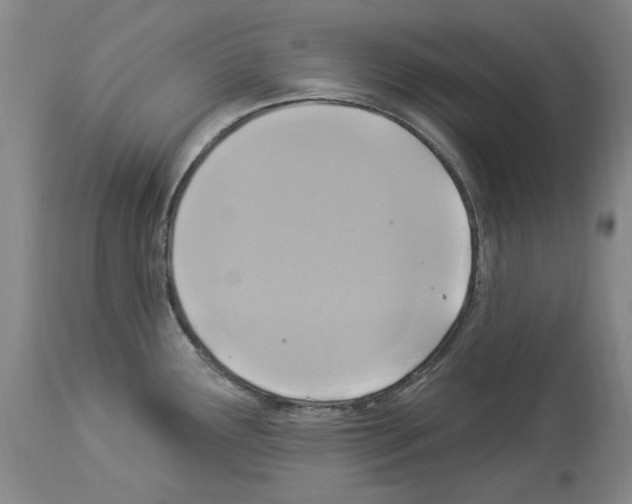 X0000113961291200911061317