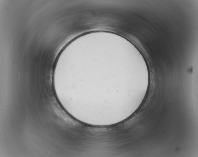 X0000113961292200911061317
