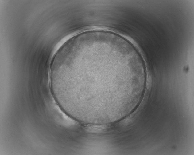 X0000113961294200911061317