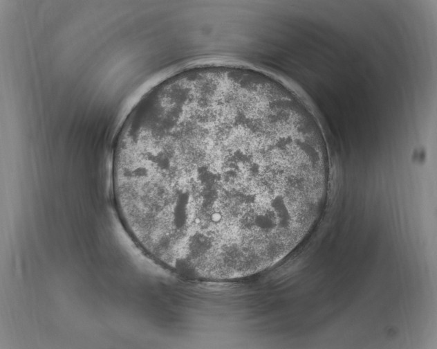 X0000113961295200911061317