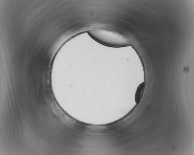 X0000113961296200911061317