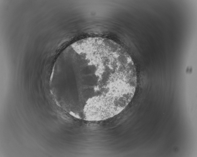 X0000113961297200911061316