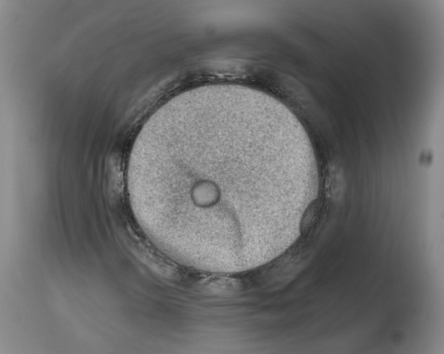 X0000113961298200911061316