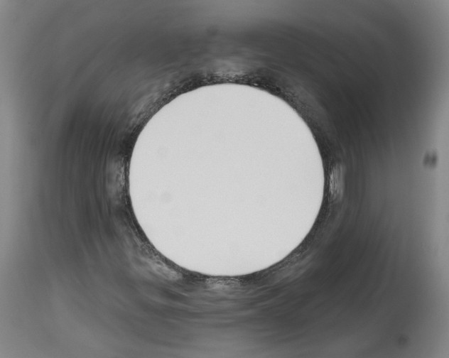 X0000113961299200911061317