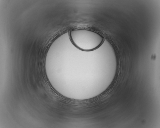 X0000113961300200911061317
