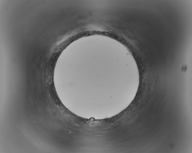 X0000113961303200911061317