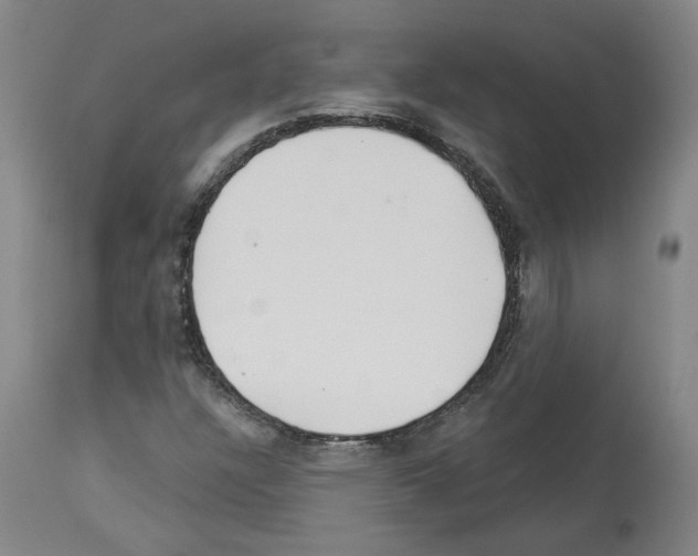 X0000113961304200911061317