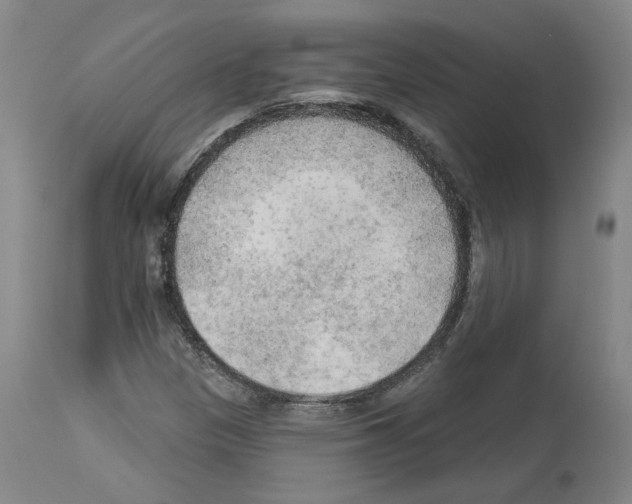 X0000113961305200911061317