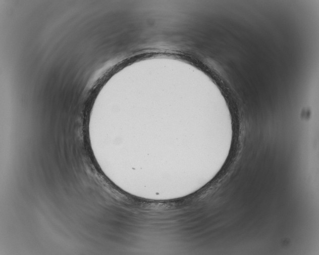 X0000113961307200911061317