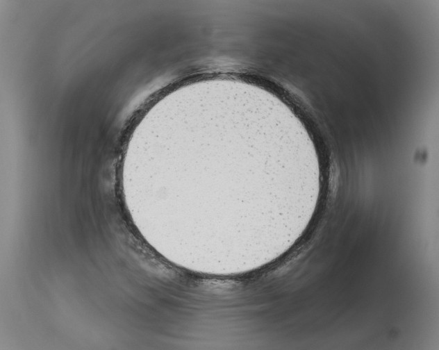 X0000113961309200911061317